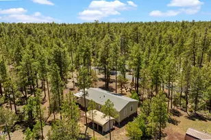 779 Lone Wolf Ln, Lakeside, AZ 85929 - Photo 37