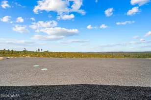 539 Fieldy Rd, Show Low, AZ 85901 - Photo 39