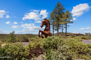 512 Fieldy Rd, Show Low, AZ 85901 - Photo 107