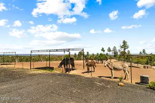 512 Fieldy Rd, Show Low, AZ 85901 - Photo 97