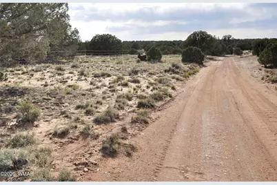 176 Cr N5549, Concho, AZ 85924 - Photo 3