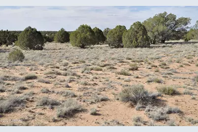 176 Cr N5549, Concho, AZ 85924 - Photo 7