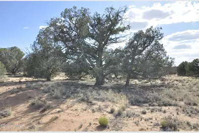 176 Cr N5549, Concho, AZ 85924 - Photo 5