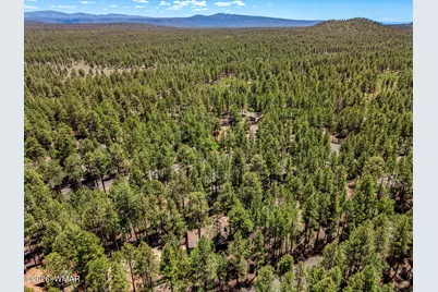 8508 Hiawatha Trail, Pinetop, AZ 85935 - Photo 31