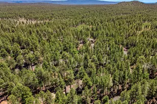 8508 Hiawatha Trail, Pinetop, AZ 85935 - Photo 31
