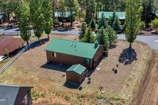 2722 Bain Trail, Overgaard, AZ 85933 - Photo 25