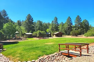 2320 N Cottage Trail, Show Low, AZ 85901 - Photo 35