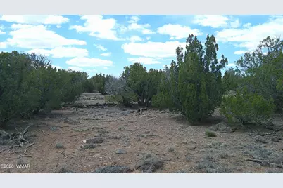 Tbd Show Low Pines Lot 189, Concho, AZ 85924 - Photo 7
