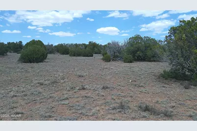 Tbd Show Low Pines Lot 189, Concho, AZ 85924 - Photo 5