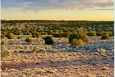 Tbd Co Rd N7120 40 Acres, Saint Johns, AZ 85936 - Photo 5