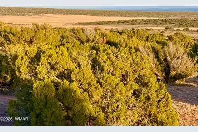 Tbd Co Rd N7120 40 Acres, Saint Johns, AZ 85936 - Photo 17