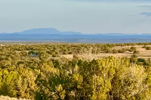 Tbd Co Rd N7120 40 Acres, Saint Johns, AZ 85936 - Photo 1