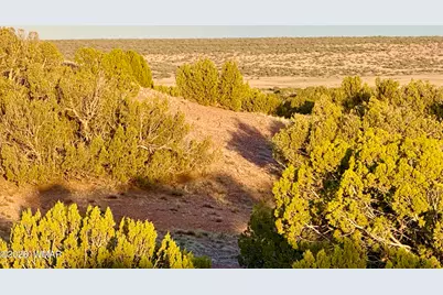 Tbd Co Rd N7120 40 Acres, Saint Johns, AZ 85936 - Photo 11