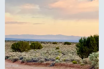 Tbd Co Rd N7120 40 Acres, Saint Johns, AZ 85936 - Photo 7