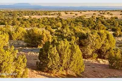 Tbd Co Rd N7120 40 Acres, Saint Johns, AZ 85936 - Photo 13
