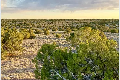 Tbd Co Rd N7120 40 Acres, Saint Johns, AZ 85936 - Photo 3