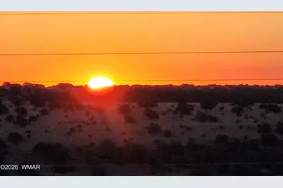 12 Navajo Drive, Concho Valley, AZ 85924 - Photo 53