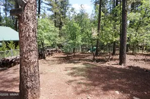 2843 S Cougar Ln, Pinetop, AZ 85935 - Photo 23