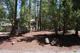 2843 S Cougar Ln, Pinetop, AZ 85935 - Photo 5