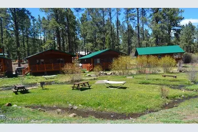 Cabin 97 Rohrer Road, Greer, AZ 85927 - Photo 13