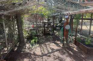 2871 Moose Trail, Overgaard, AZ 85933 - Photo 21