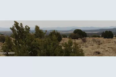 21 County Road, Concho, AZ 85924 - Photo 3