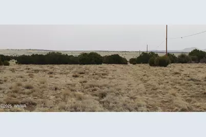 21 County Road, Concho, AZ 85924 - Photo 1
