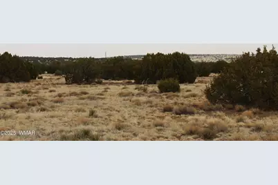 21 County Road, Concho, AZ 85924 - Photo 7