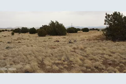 21 County Road, Concho, AZ 85924 - Photo 21