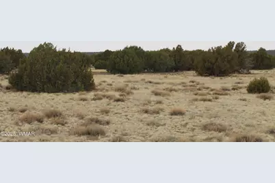 21 County Road, Concho, AZ 85924 - Photo 13