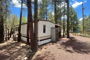 1930 Larson Rd, Lakeside, AZ 85929 - Photo 7