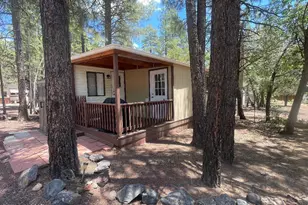 1930 Larson Rd, Lakeside, AZ 85929 - Photo 5