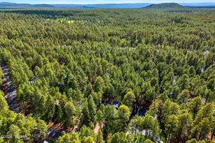 3197 Drift Fence Cir, Pinetop, AZ 85935 - Photo 39