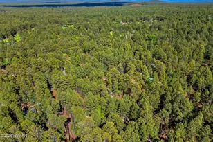 3197 Drift Fence Cir, Pinetop, AZ 85935 - Photo 37
