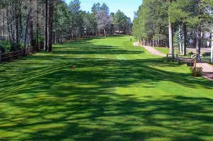 3197 Drift Fence Cir, Pinetop, AZ 85935 - Photo 61