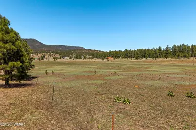 16 County Road 2089, Alpine, AZ 85920 - Photo 1