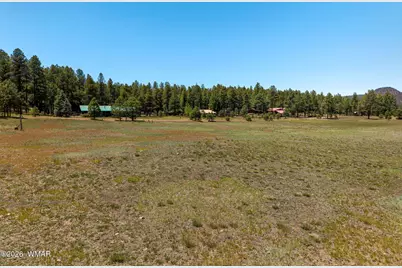 16 County Road 2089, Alpine, AZ 85920 - Photo 15