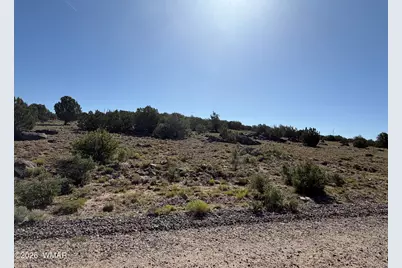 Lot 49 Windsor Valley Ranch Drive, Concho, AZ 85924 - Photo 1