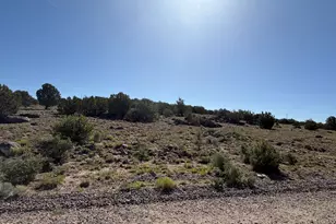 Lot 49 Windsor Valley Ranch Dr, Concho, AZ 85924 - Photo 1