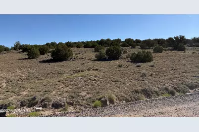 Lot 49 Windsor Valley Ranch Drive, Concho, AZ 85924 - Photo 7