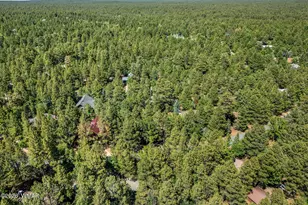 4872 Drifting Snow Loop, Pinetop, AZ 85935 - Photo 33