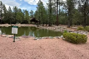 5222 Mountain Gate Cir, Lakeside, AZ 85929 - Photo 39
