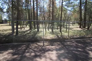 1221 W McNeil, Show Low, AZ 85901 - Photo 21