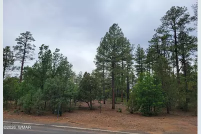 2425 S Timber Pine Lane, Pinetop, AZ 85935 - Photo 5