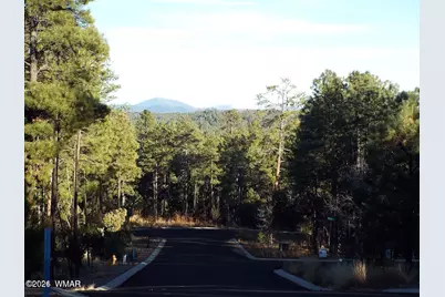 2425 S Timber Pine Lane, Pinetop, AZ 85935 - Photo 9