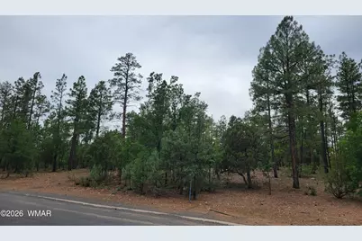 2425 S Timber Pine Lane, Pinetop, AZ 85935 - Photo 7
