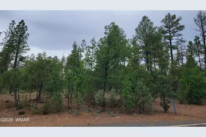 2425 S Timber Pine Lane, Pinetop, AZ 85935 - Photo 3
