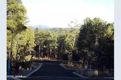 2425 S Timber Pine Lane, Pinetop, AZ 85935 - Photo 11