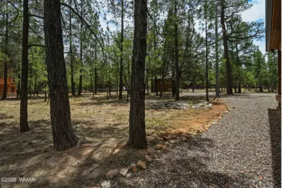 4075 Horseshoe Drive, Happy Jack, AZ 86024 - Photo 41