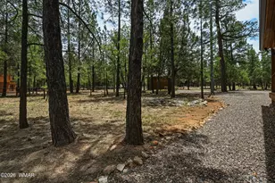 4075 Horseshoe Dr, Happy Jack, AZ 86024 - Photo 41